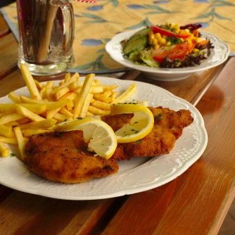 Schnitzel mit Pommes Frites und Salat | Naturfreundehaus Billtalhöhe | Waldgaststätte | Königstein im Taunus